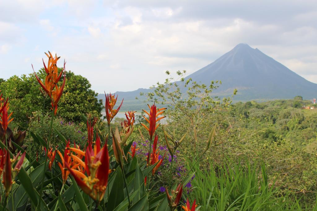 Castillo Del Arenal Exterior photo